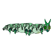 :stage1caterpillar: