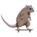 :skaterrat: