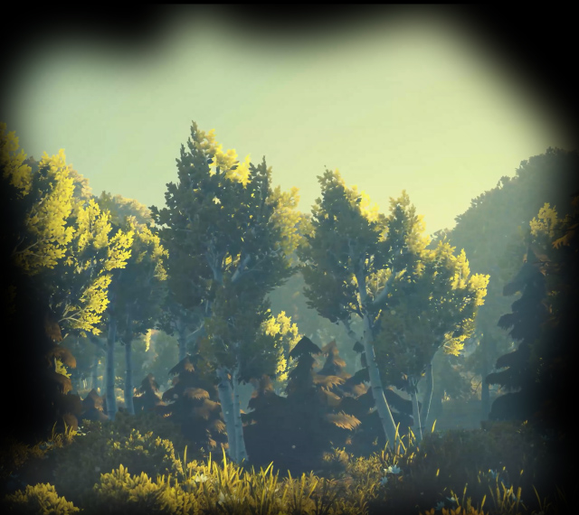 Forest Animated Miniback