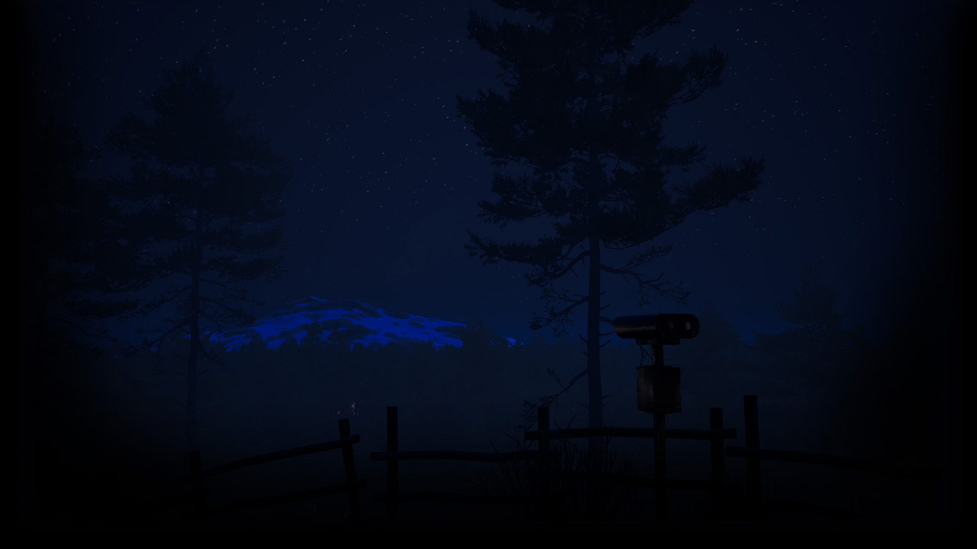 Night View
