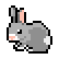 :ttrabbit: