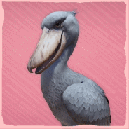 Shoebill