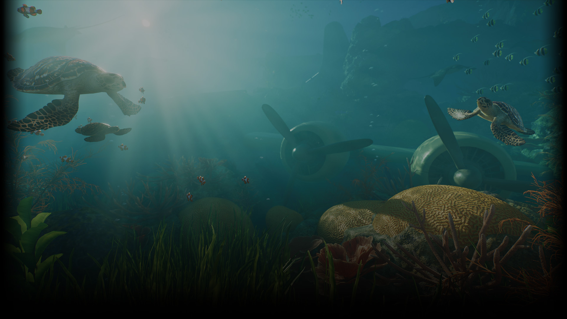 Aquarium