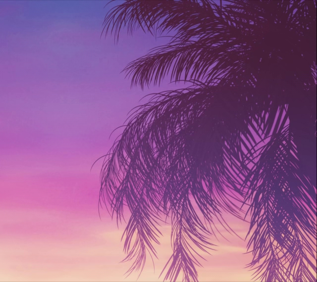 Endless Summer