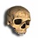 :skull_kragg: