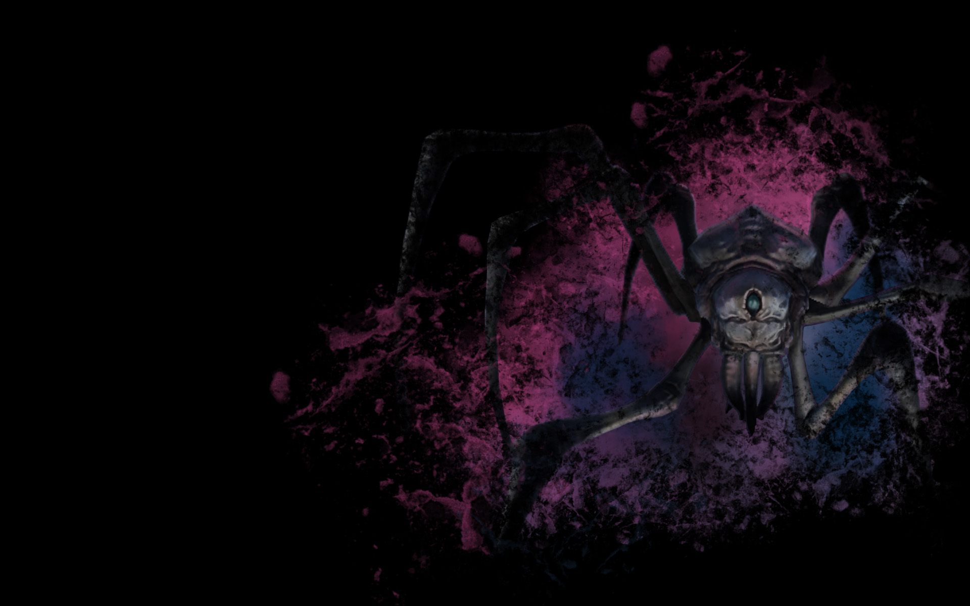 Spider