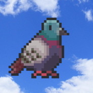 Pigeon