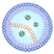 :aeprotocell:
