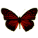 :corrosionbutterfly: