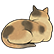 :wutwcat: