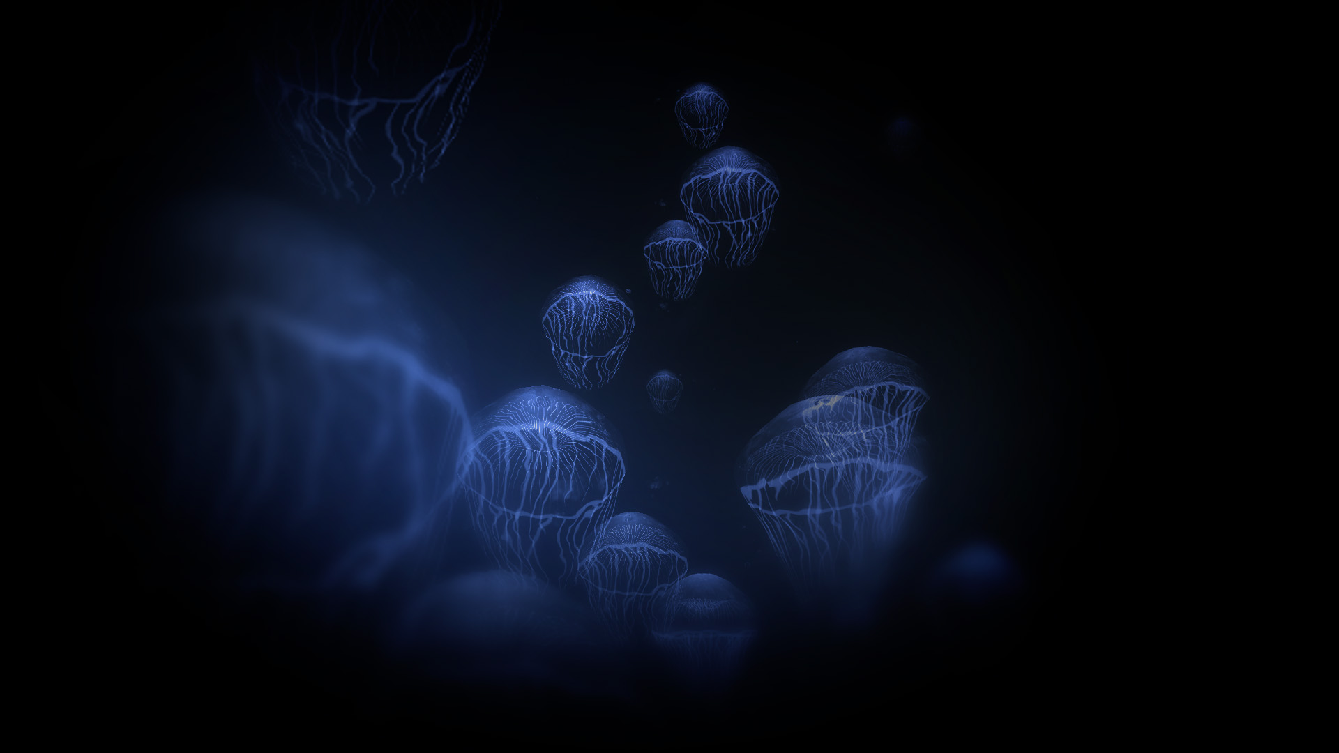 The Sea of Dreams