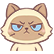 :miino_grumpy:
