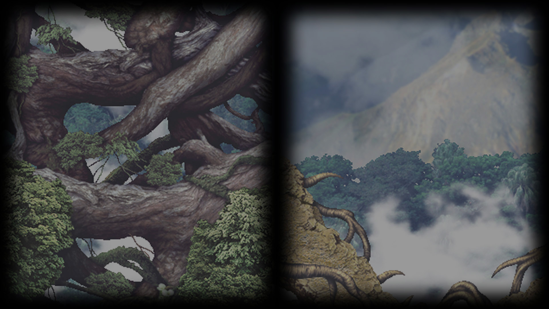 The Direction To The Heart Of The Forest