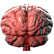 :doorways_brain: