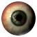 :doorways_eye: