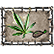:CBIS: