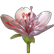 :floweroflife: