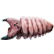 :cvmaggot: