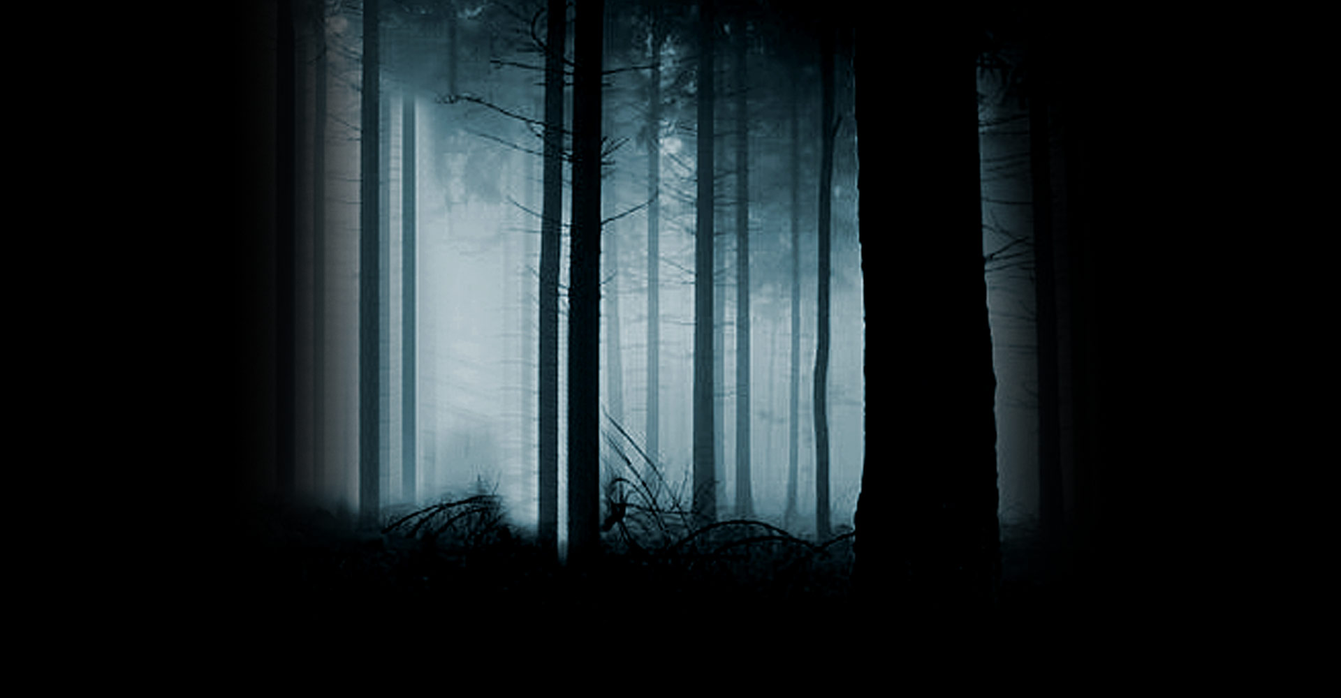 Woods