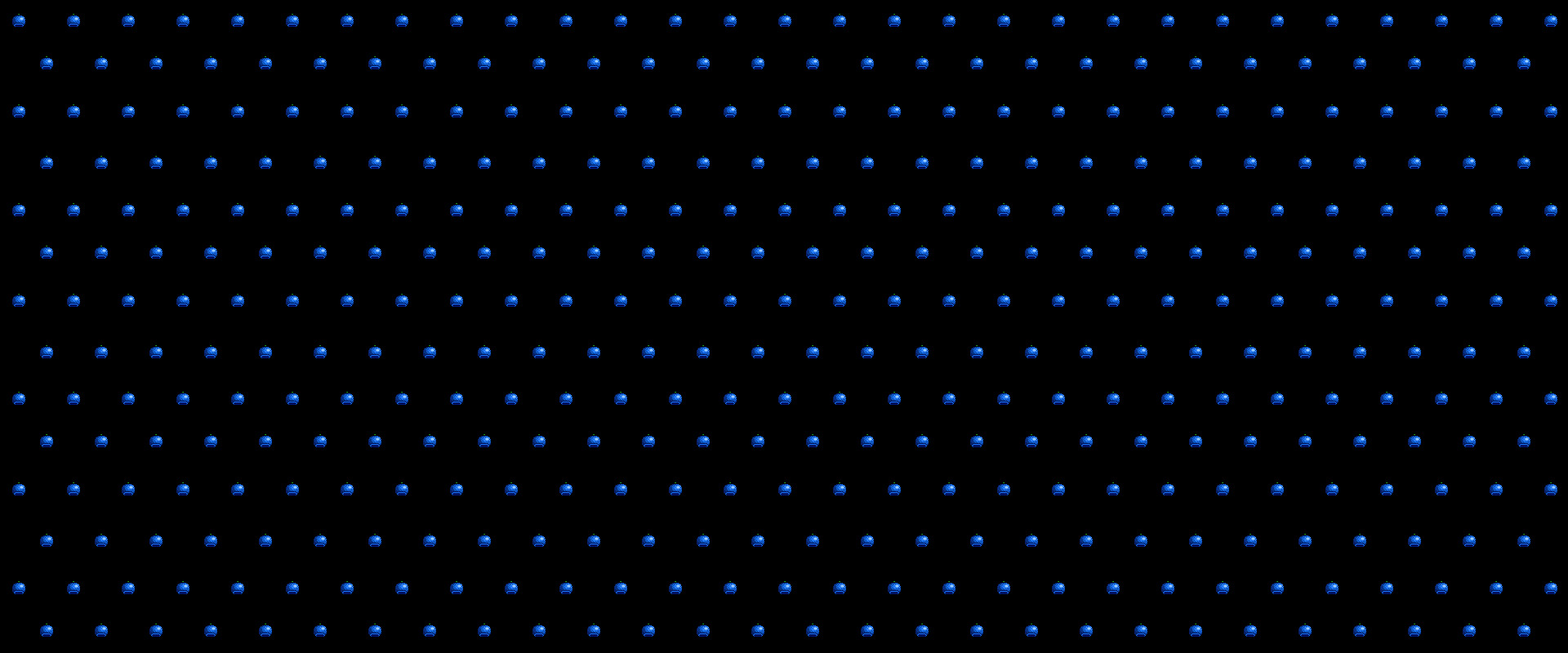 Blueberries