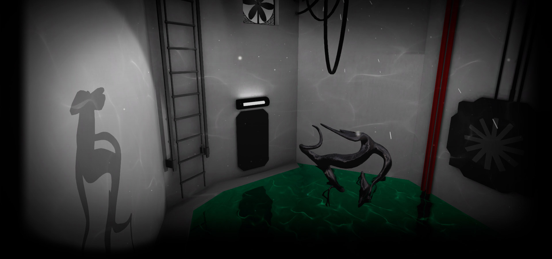 The shadows room