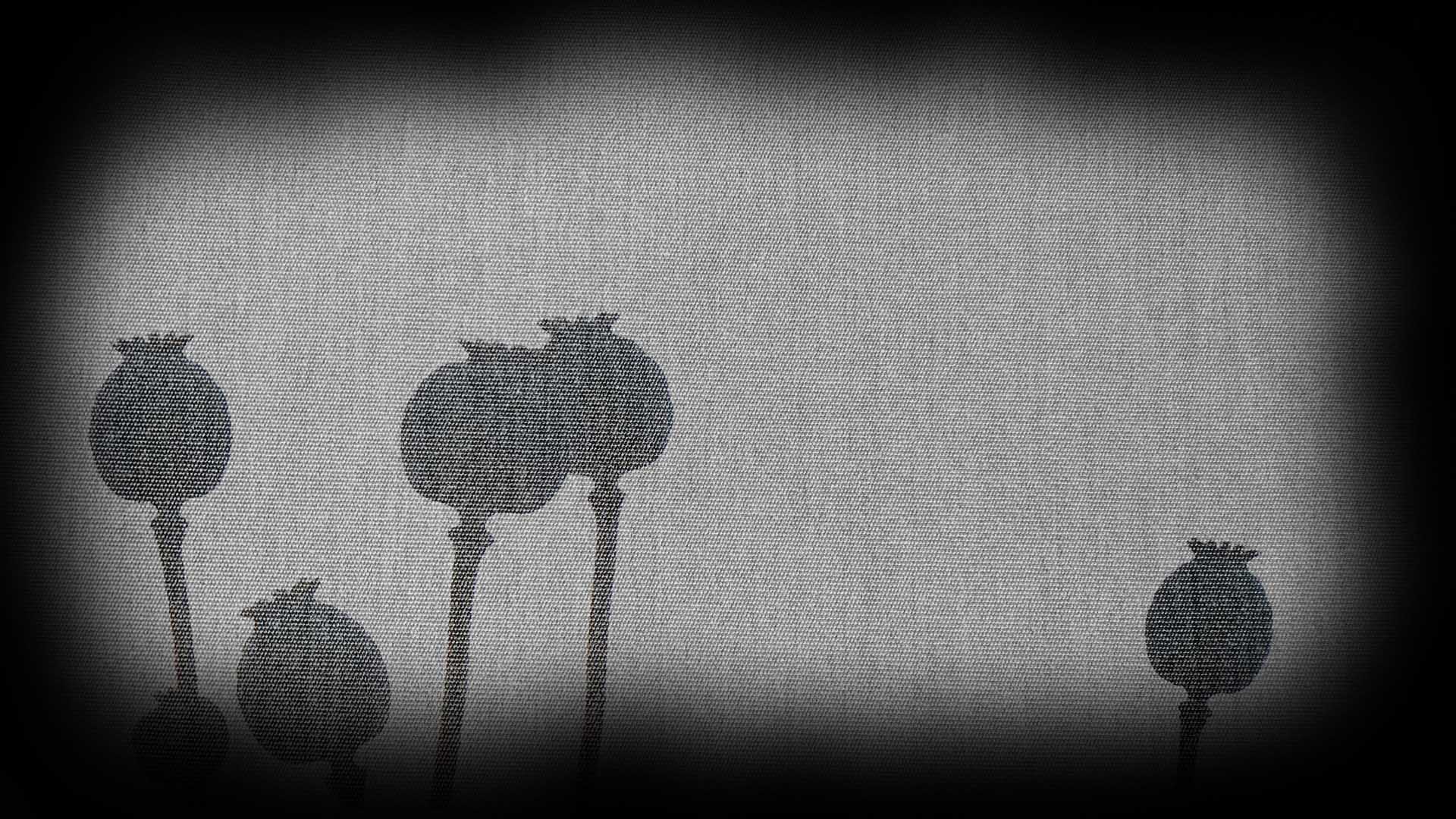 Poppyhead