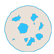:spacecookie: