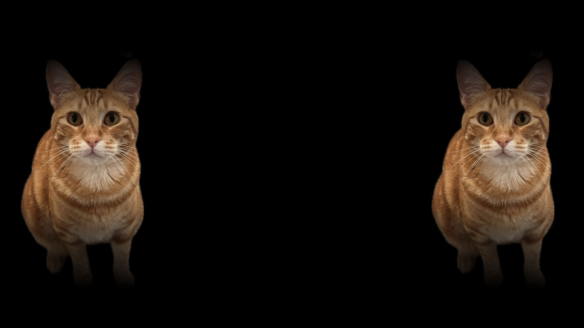 Big Linguine Background