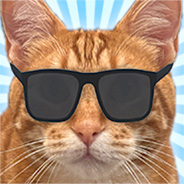 Sunglasses Linguine