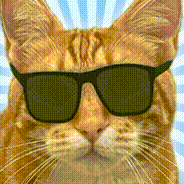 Sunglasses Linguine
