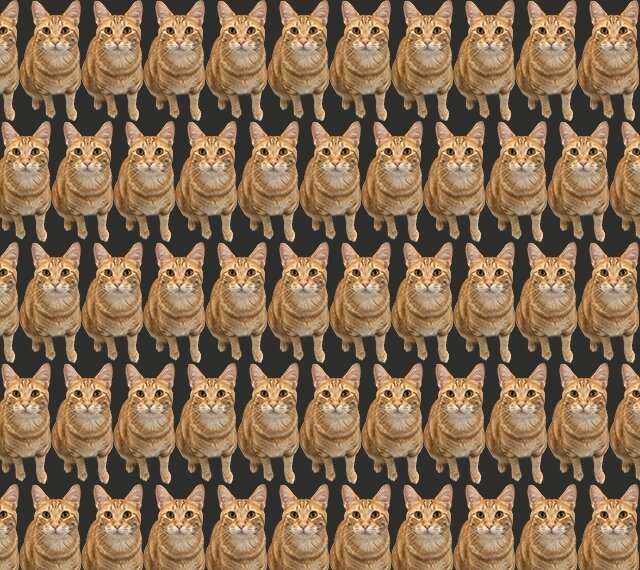 Linguine Mini Background