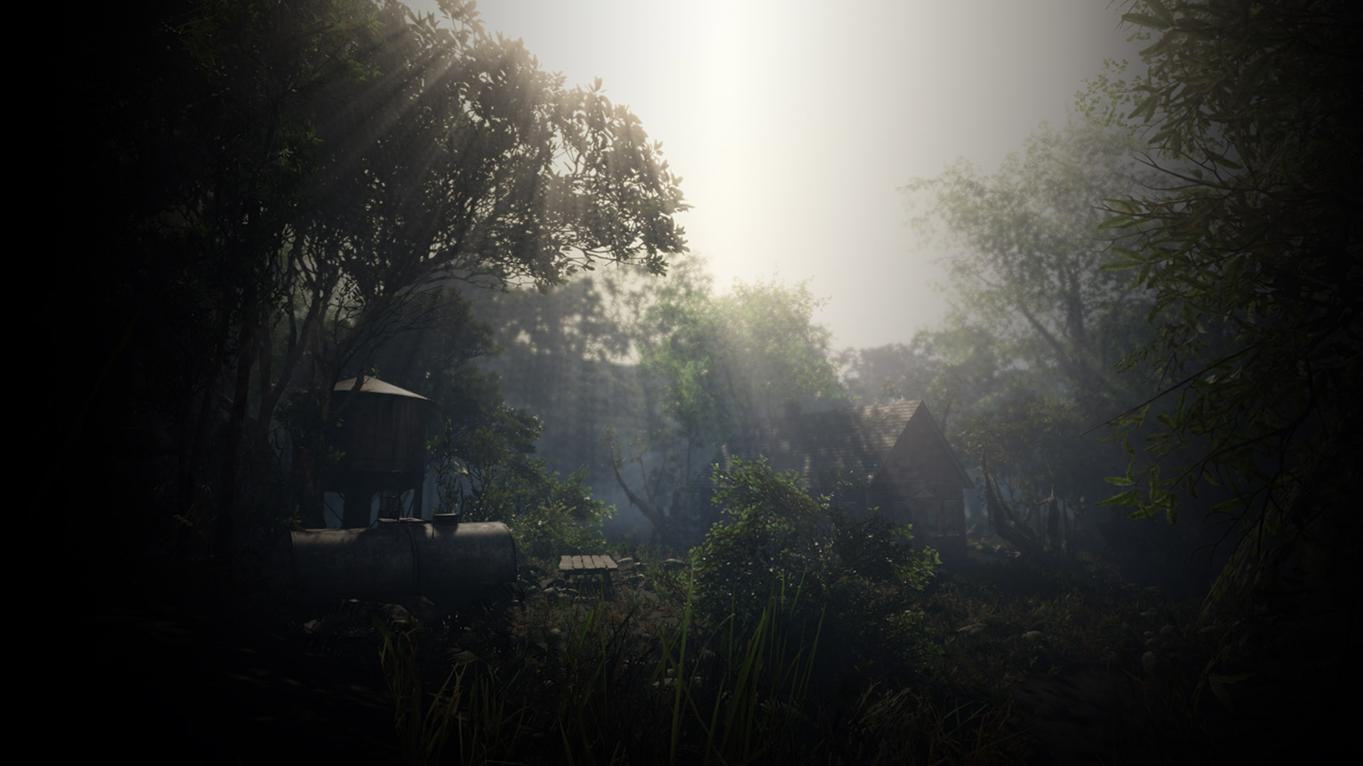 The old village