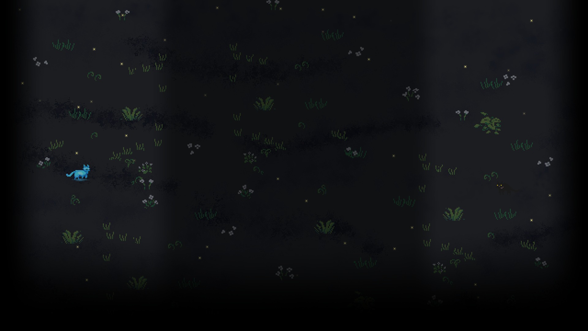 Firefly Heather