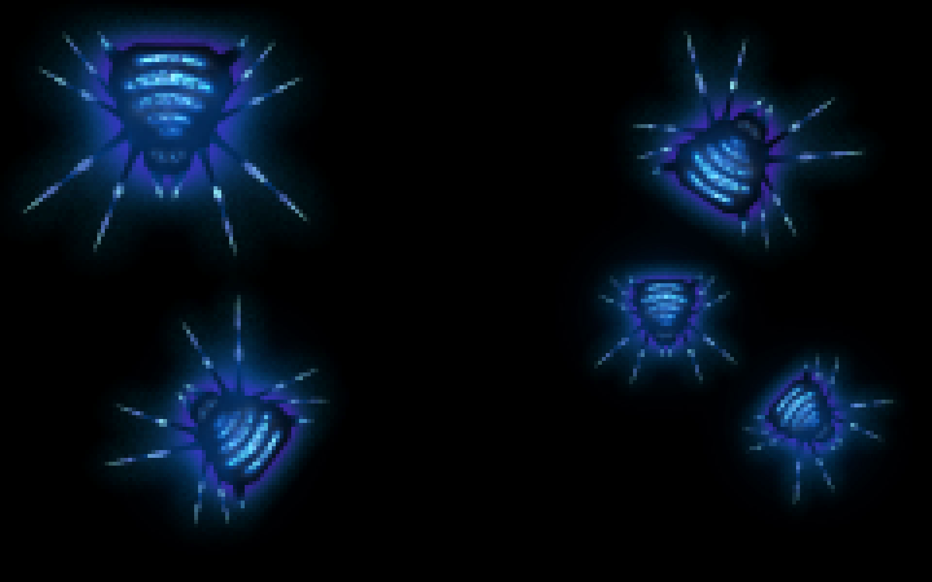 Spiders