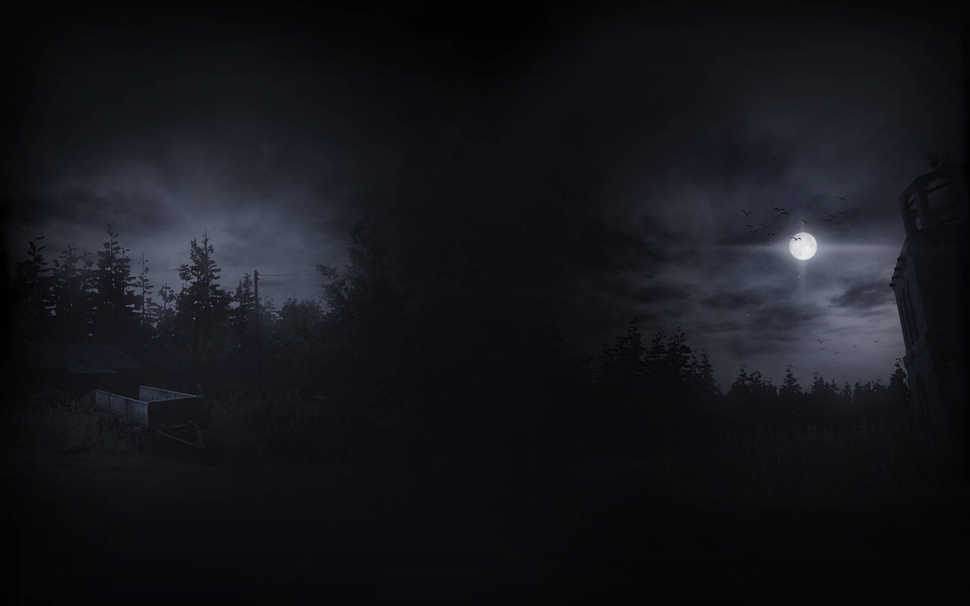 Night