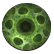 :molecularlife: