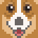 :corgiface: