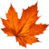 :halloween_leaf: