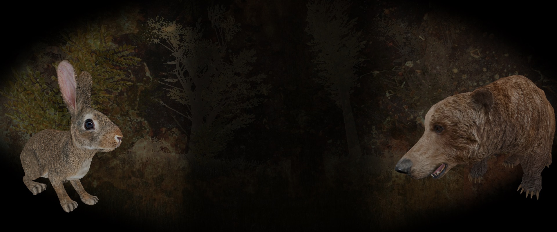 Rabbit and Bear Background
