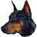 :tidoberman: