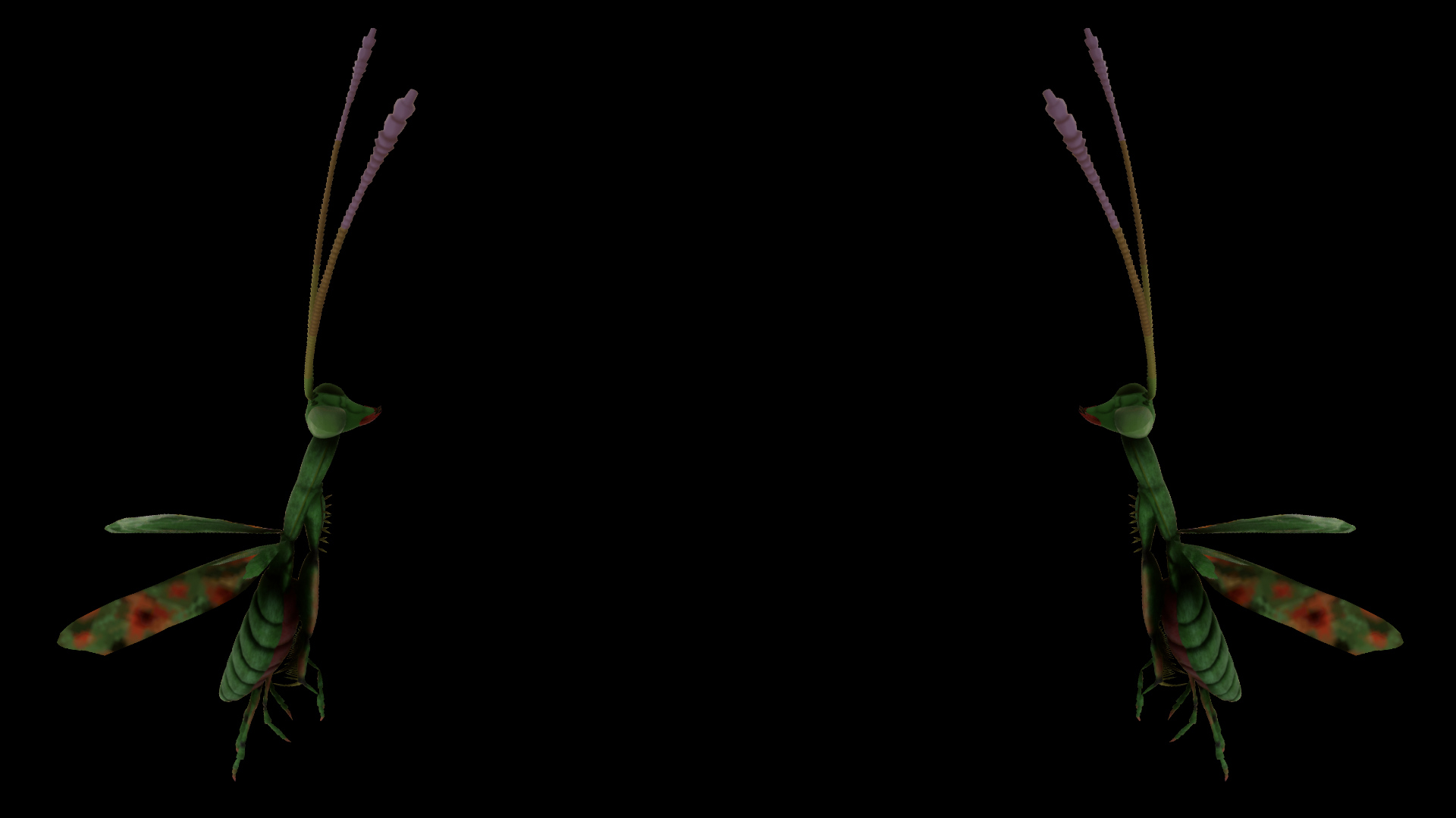 Praying Mantis