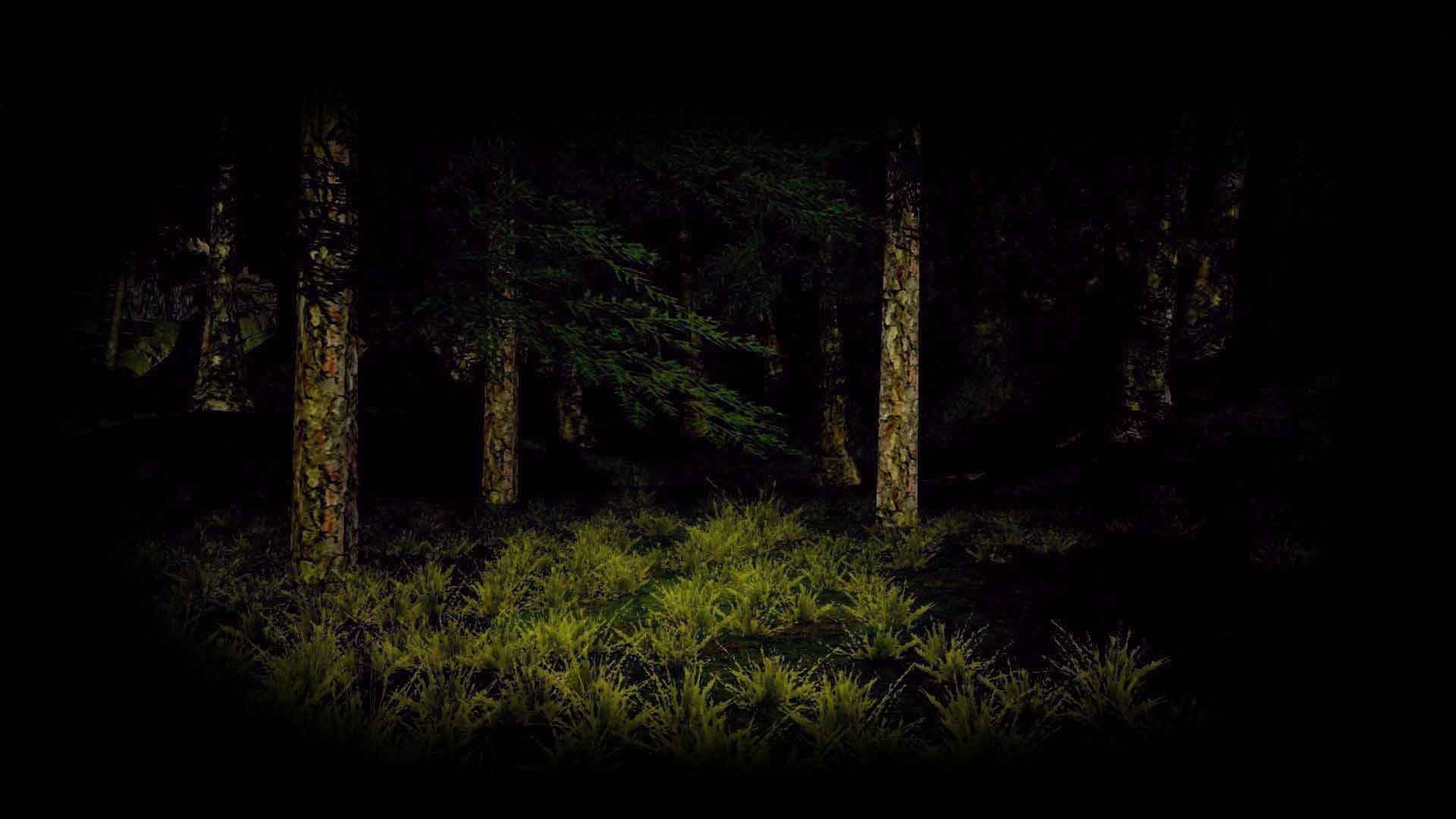Deep Forest