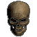 :SkullGuard: