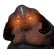 :BWBeserker: