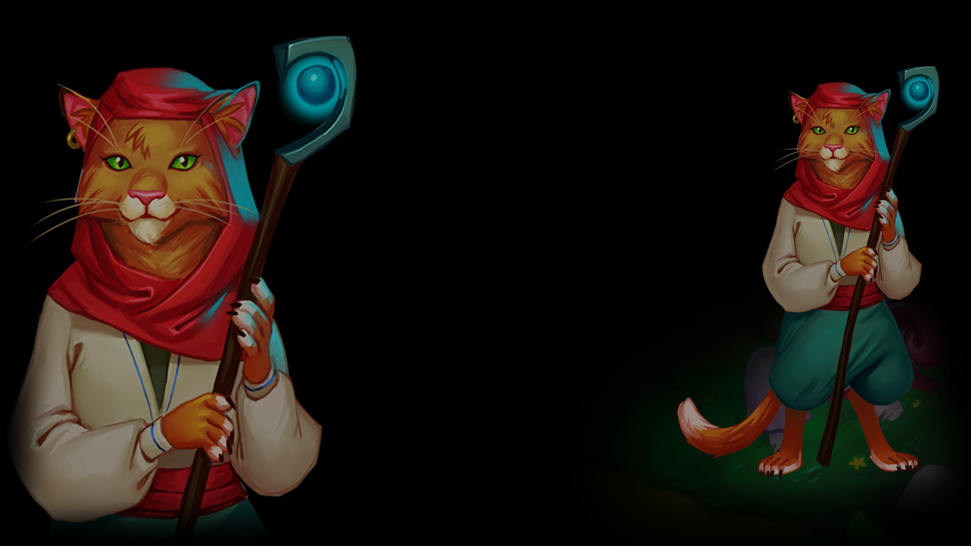 Cat-wizard
