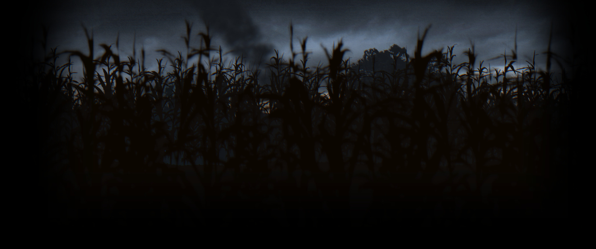 Cornfield
