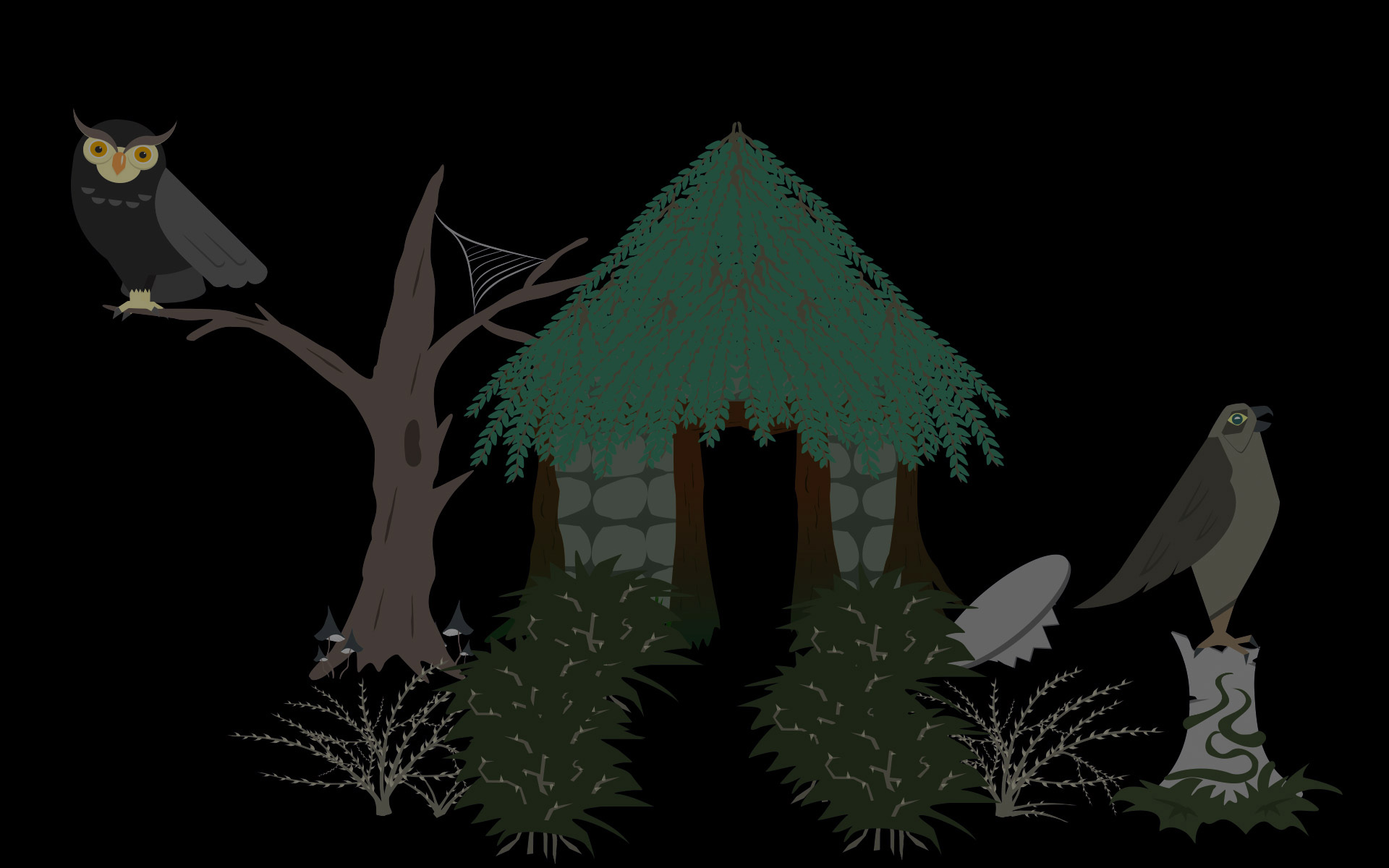 Birds