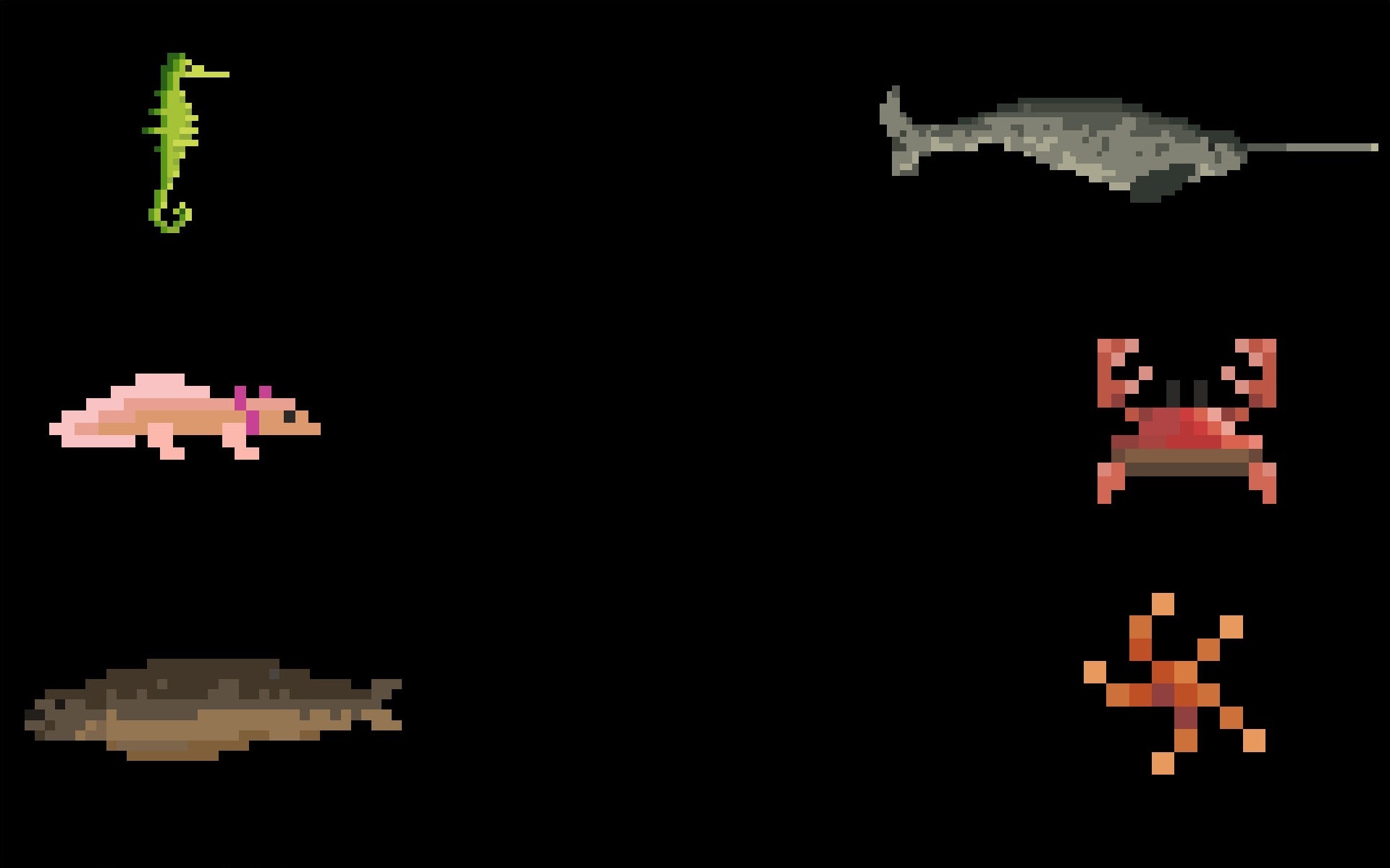 Friendly sea life