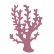 :coral: