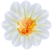:MazeFlower: